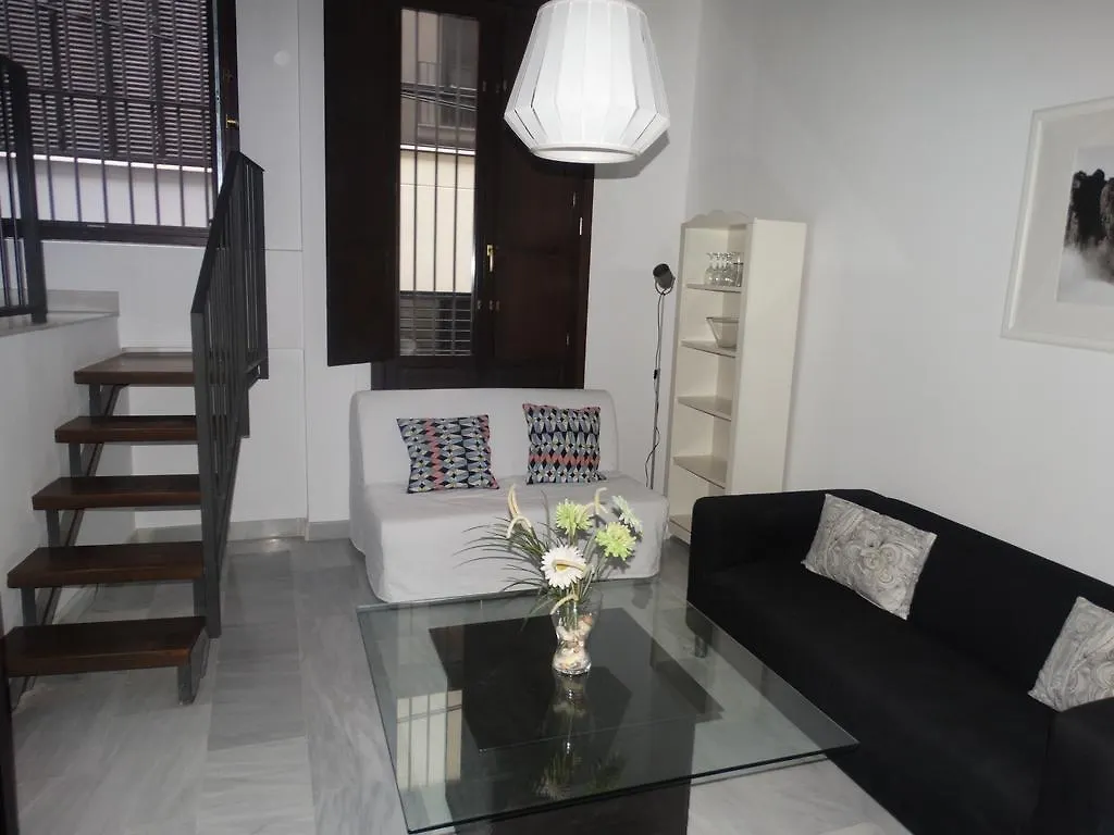 Lägenhet Malaga Apartamentos - Jinetes, 13
