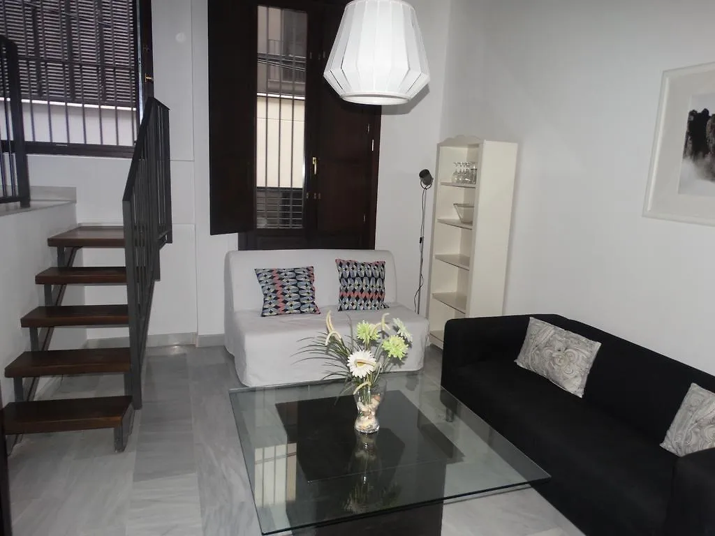 Apartament Malaga Apartamentos - Jinetes, 13