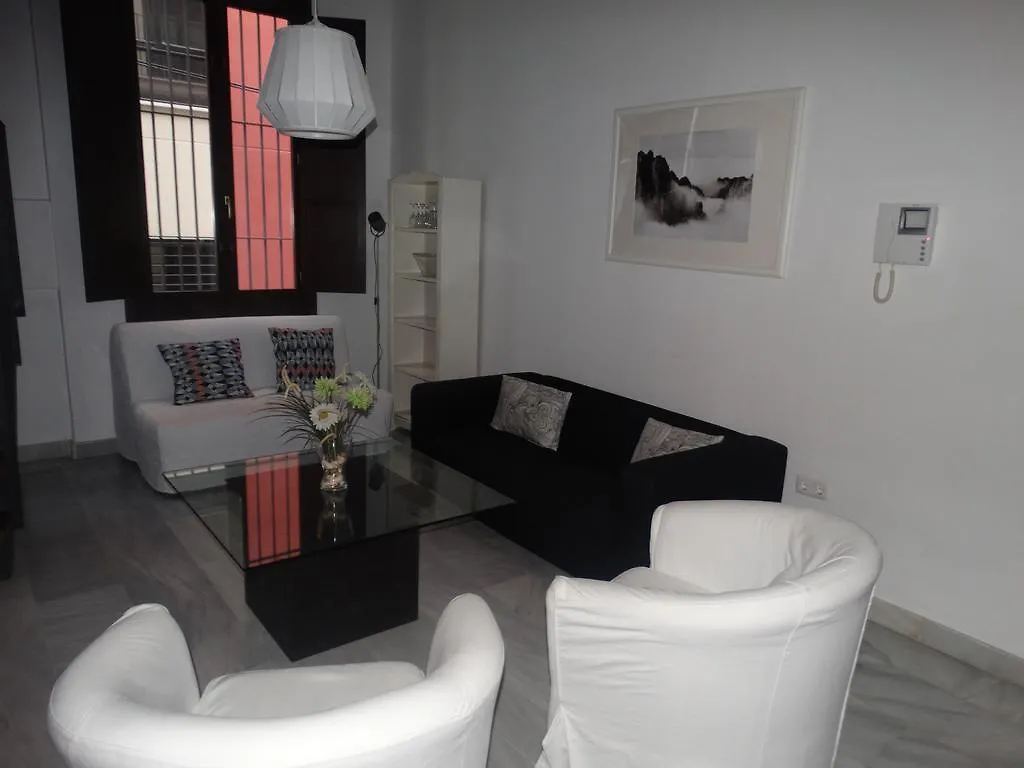Apartment Malaga Apartamentos - Jinetes, 13